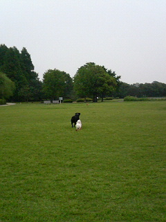 f0093459_21415234.jpg