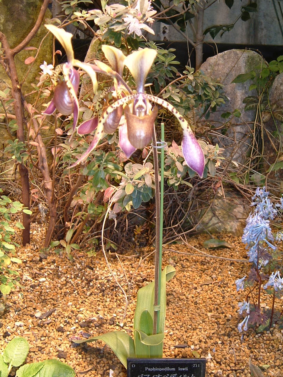 b0096463_2316111.jpg