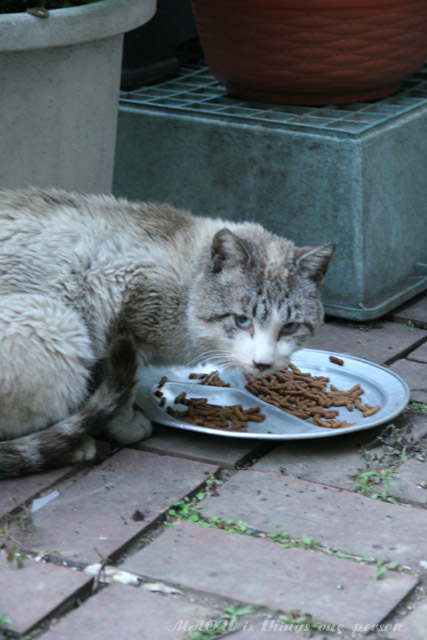 f0096666_81848.jpg