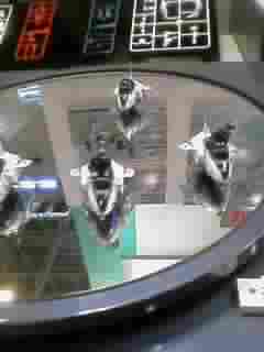 e0070468_12431616.jpg