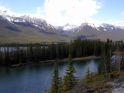 b0000372_15505528.jpg