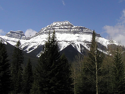 b0000372_1645756.jpg