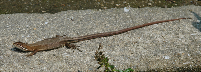 d0009773_14552466.jpg