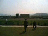 f0103273_11384140.jpg
