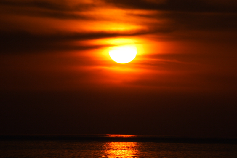 c0030874_626594.jpg