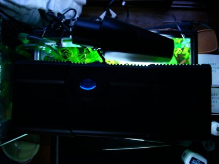 f0087479_21245679.jpg