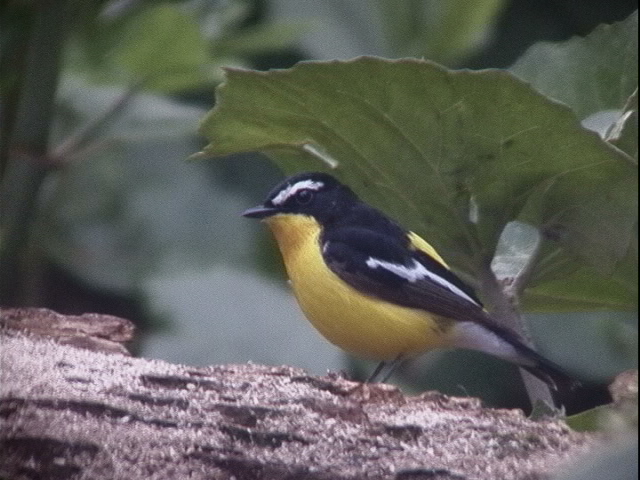 d0020180_836944.jpg