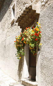 f0069491_117204.jpg