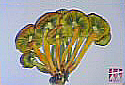 f0008597_221228.jpg