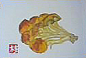 f0008597_22125756.jpg