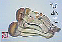 f0008597_22134041.jpg