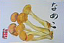 f0008597_22142639.jpg