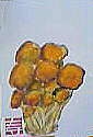 f0008597_22144847.jpg