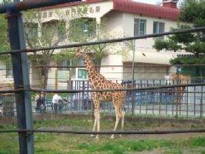 e0040602_22531241.jpg