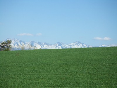 e0040602_2343421.jpg