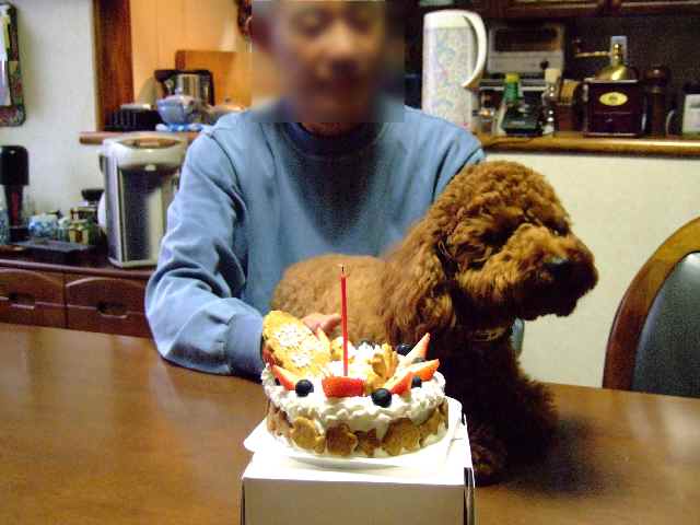 f0076529_1585236.jpg