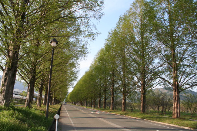 f0017530_20203849.jpg