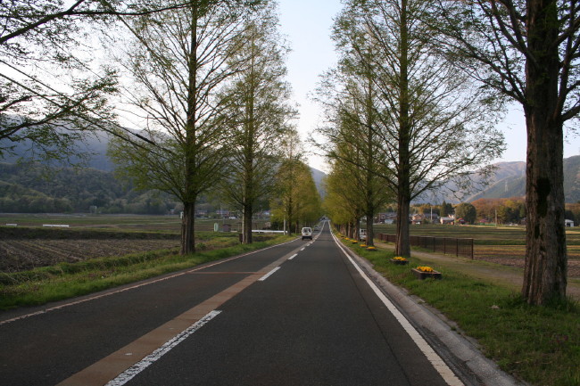 f0017530_20253660.jpg