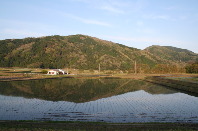 f0017530_2031561.jpg