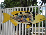 b0063132_1644360.jpg