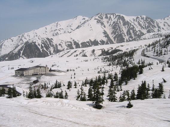 e0010134_7464447.jpg