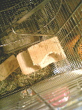 f0068234_1323169.jpg