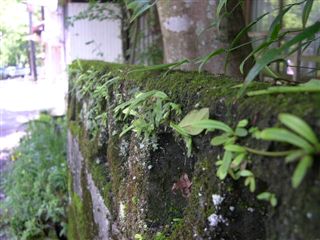 b0102639_2252124.jpg
