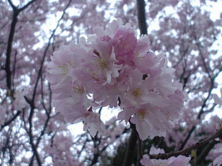 b0016043_0321036.jpg