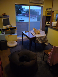 e0058443_0484556.jpg