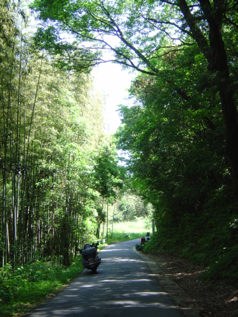 b0066153_2324459.jpg