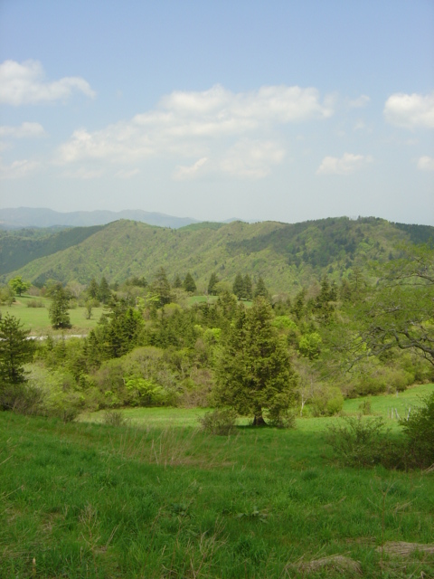 b0066153_23264255.jpg