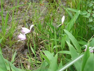 c0020653_1647478.jpg