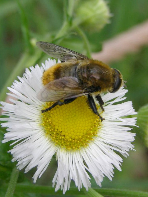 e0064158_151439.jpg
