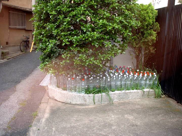 b0032167_215234.jpg