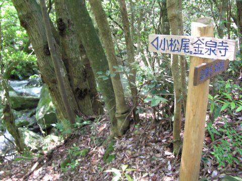 c0042869_21561496.jpg