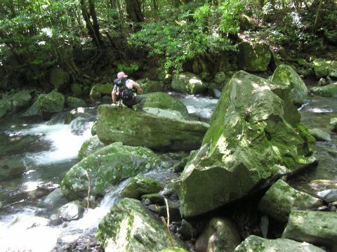 c0042869_21564452.jpg