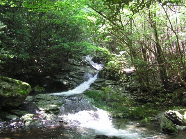 c0042869_21572950.jpg