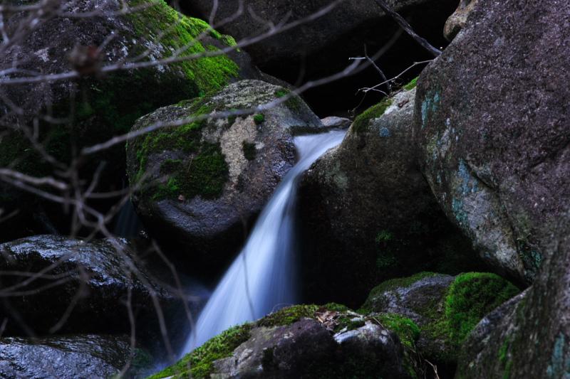 c0030874_6313590.jpg