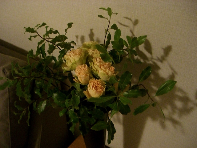 e0018777_23102718.jpg
