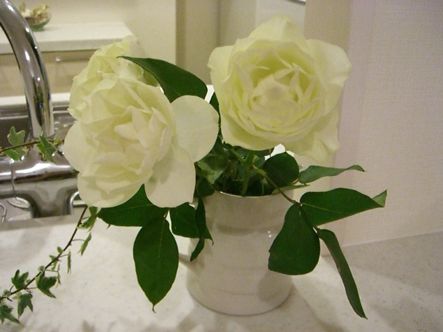 e0018777_23133742.jpg