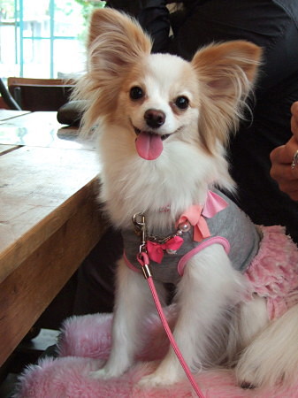 c0044199_1837551.jpg