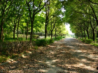 a0031000_11152840.jpg