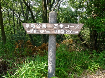 a0031000_11154788.jpg