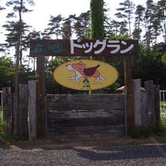 c0036617_19202538.jpg