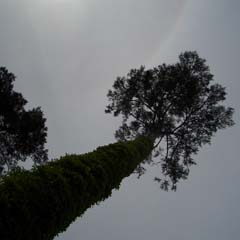 c0036617_19244476.jpg