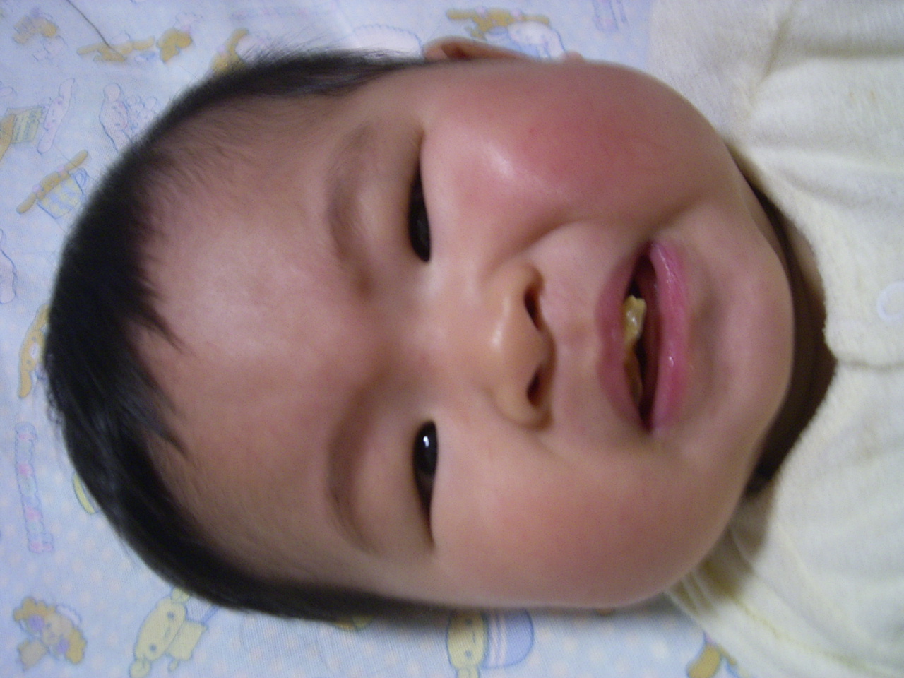 b0064519_5464471.jpg