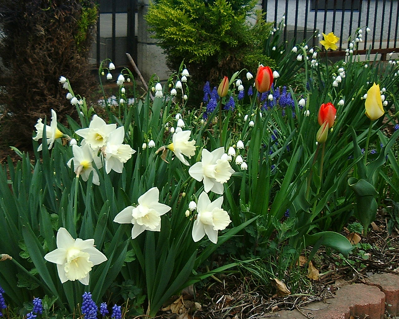 f0087228_19291438.jpg
