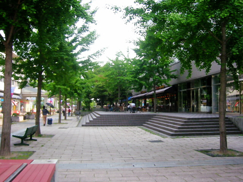 d0017632_10553224.jpg