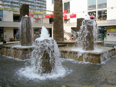 d0017632_1122621.jpg