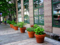 d0017632_11232837.jpg